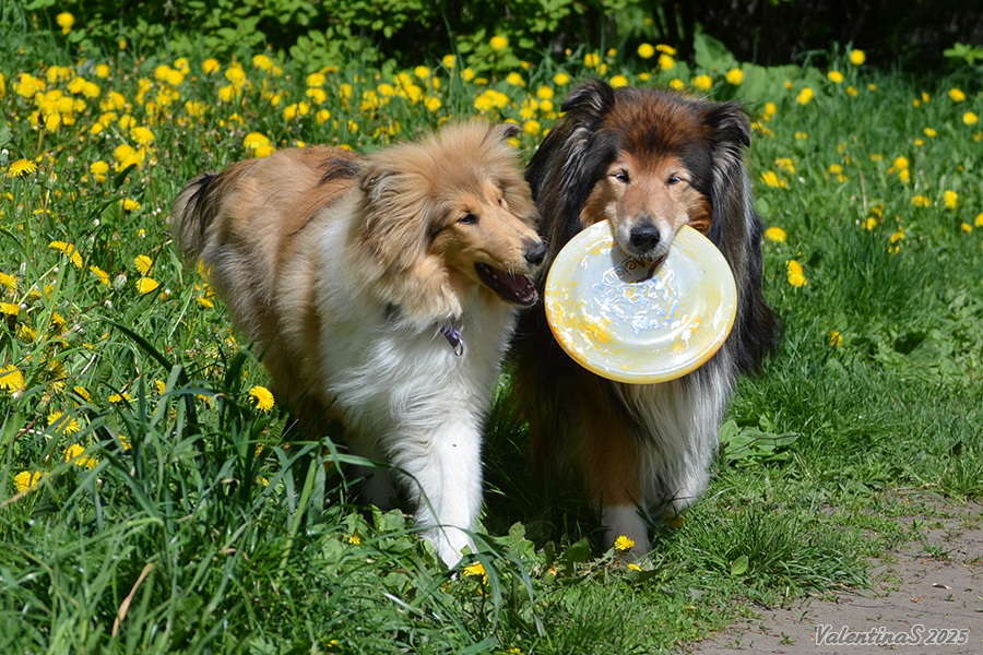 Фото из личного архива.