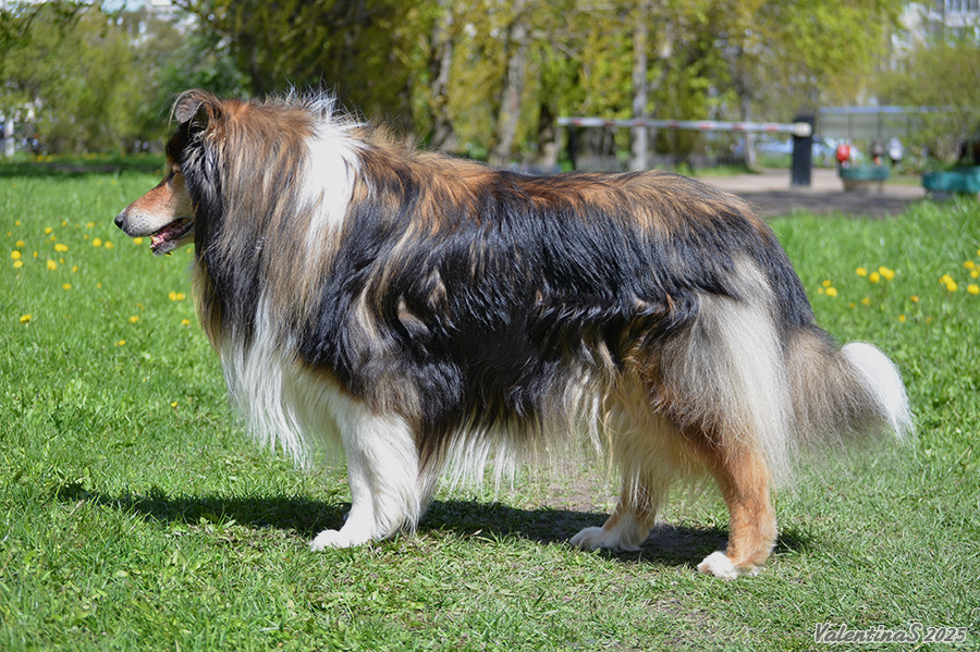 Фото из личного архива. Шел.