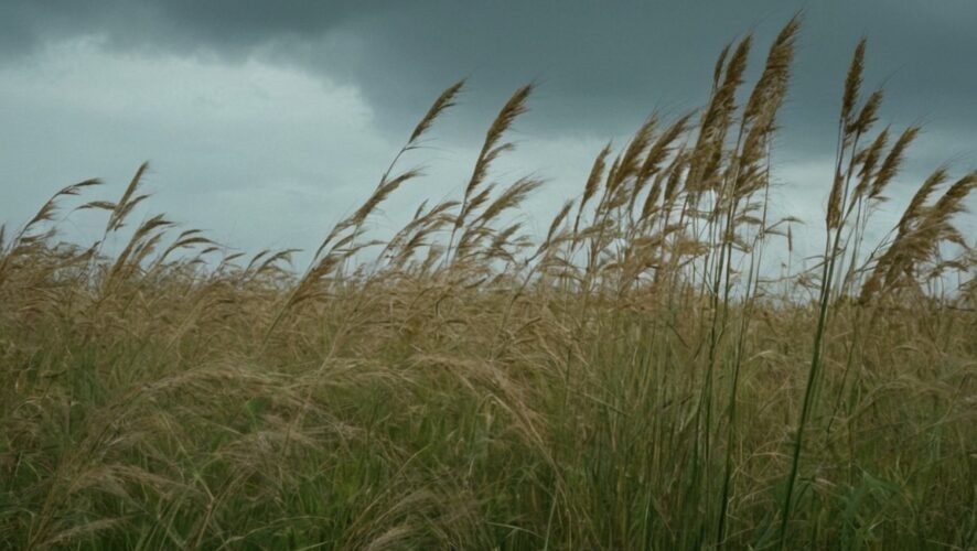    Фото: создано ИИ