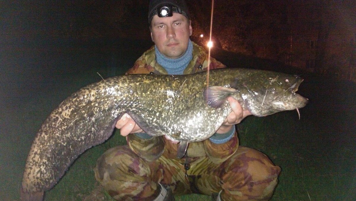     Автор: предоставил Виталий Шульга