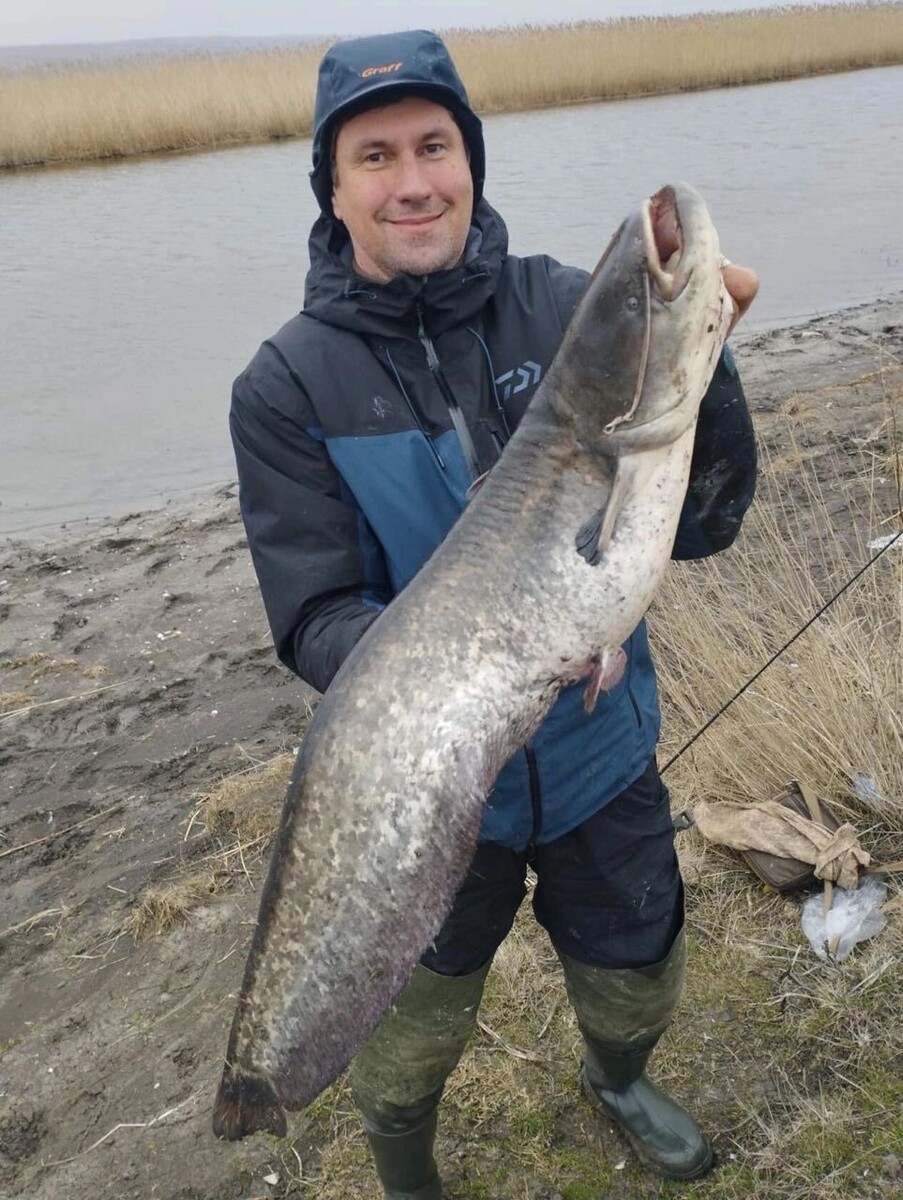     Автор: предоставил Виталий Шульга