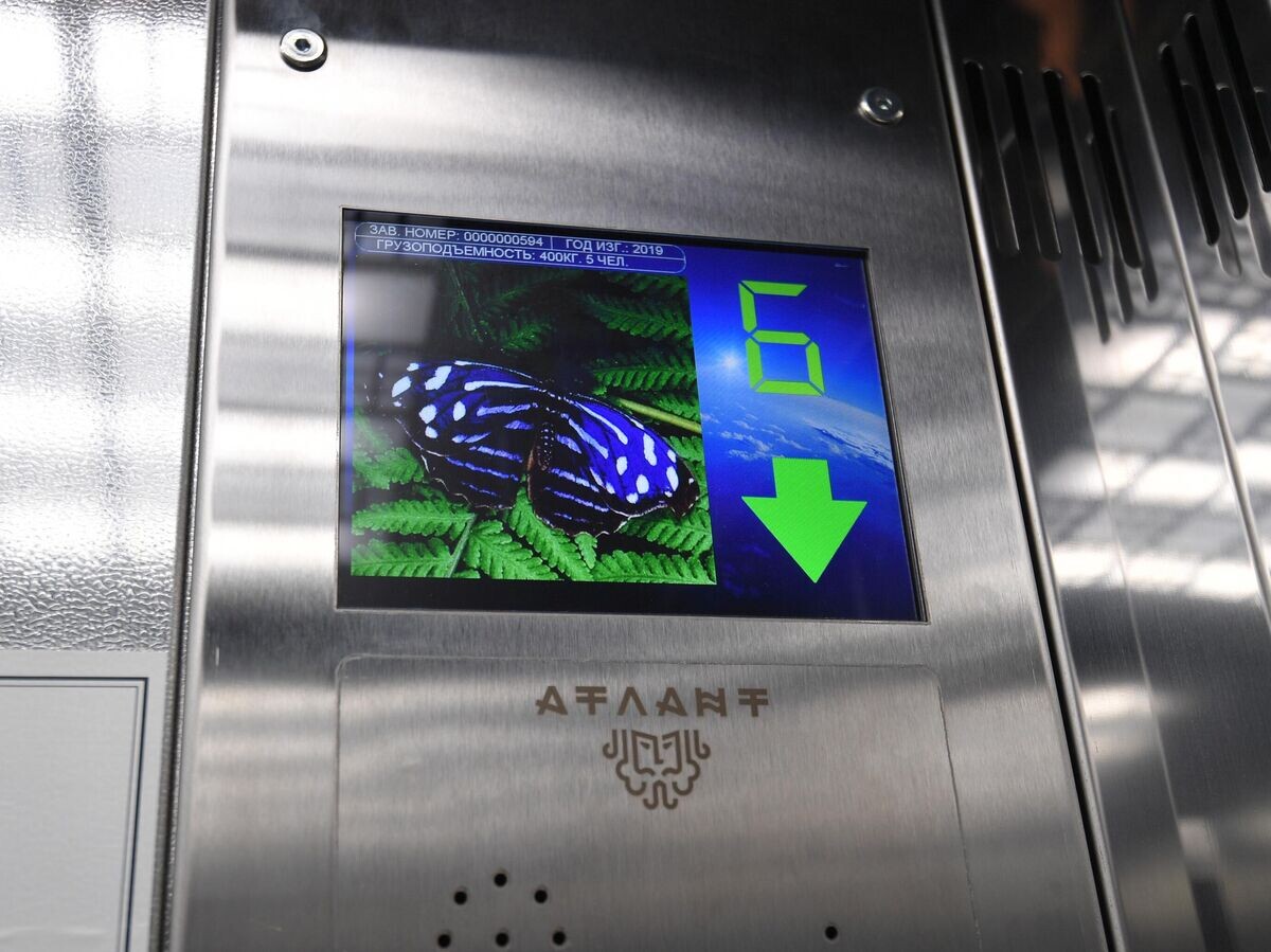    Кабина лифта в жилом доме в Москве© РИА Новости / Владимир Песня