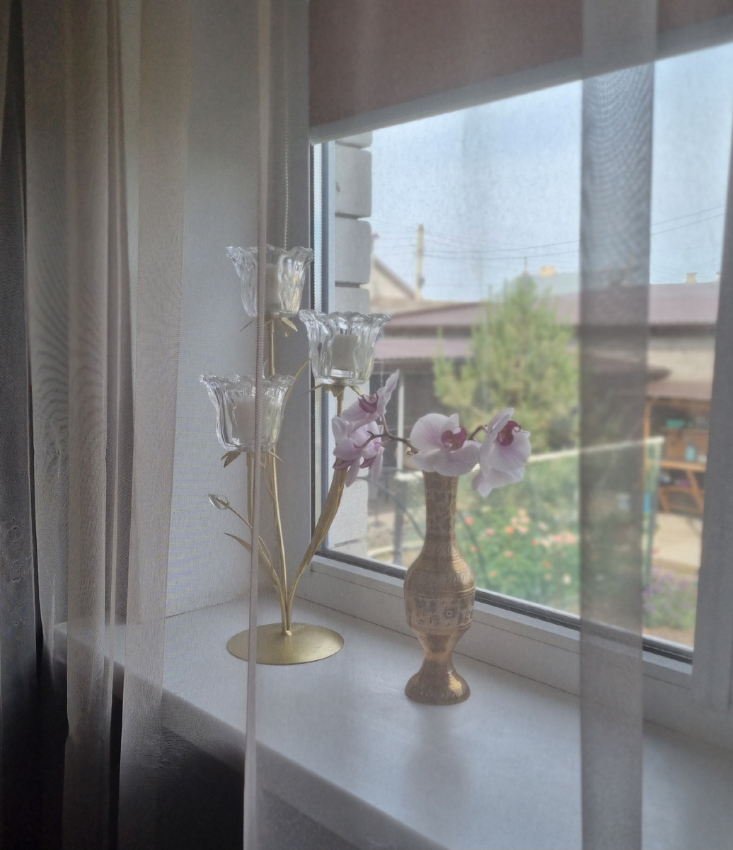 Окно моей спальни... 