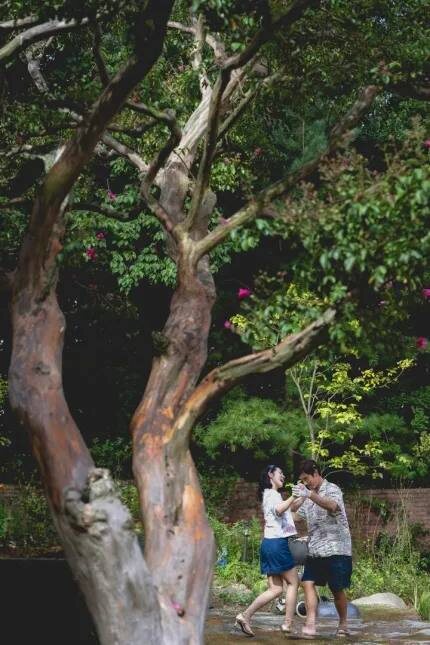 Источник фото: https://namu.wiki/w/어쩔수가없다