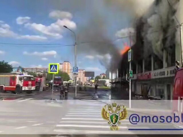    Фото: телеграм-канал "Прокуратура Московской области"