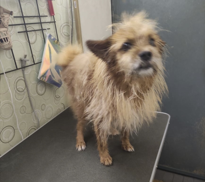 Быть или не быть ?!!