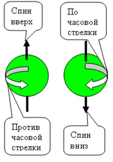 Рис. 2. Спин нейтронов n0.