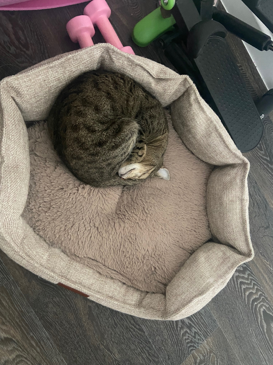 Ты иди, а я еще покемарю