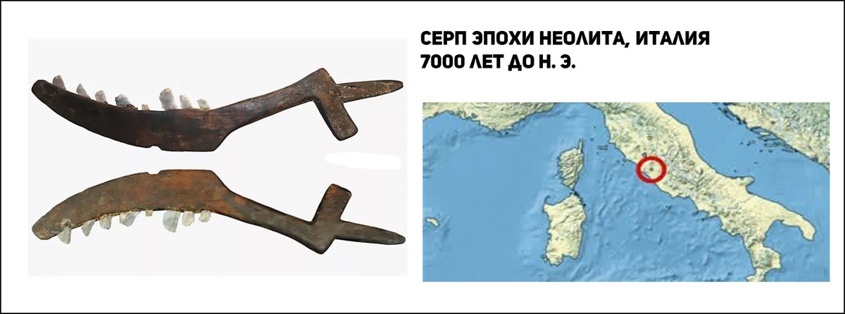 Серп эпохи неолита, Италия. Около 7000 лет до н. э. 