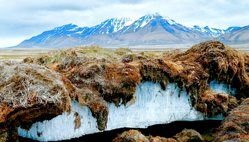 Уже невечная мерзлота. Источник фото: yakutsk.mid.ru