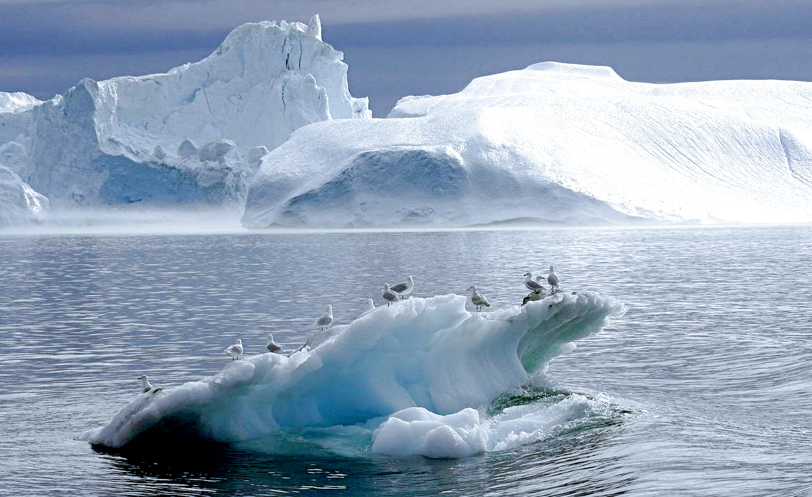 Таяние ледников Гренландии, снимок: nauka.tass.ru