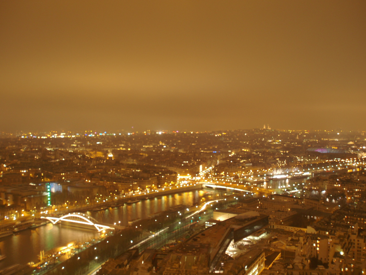 Вид на огни Парижа с Эйфелевой башни. Фото автора. 