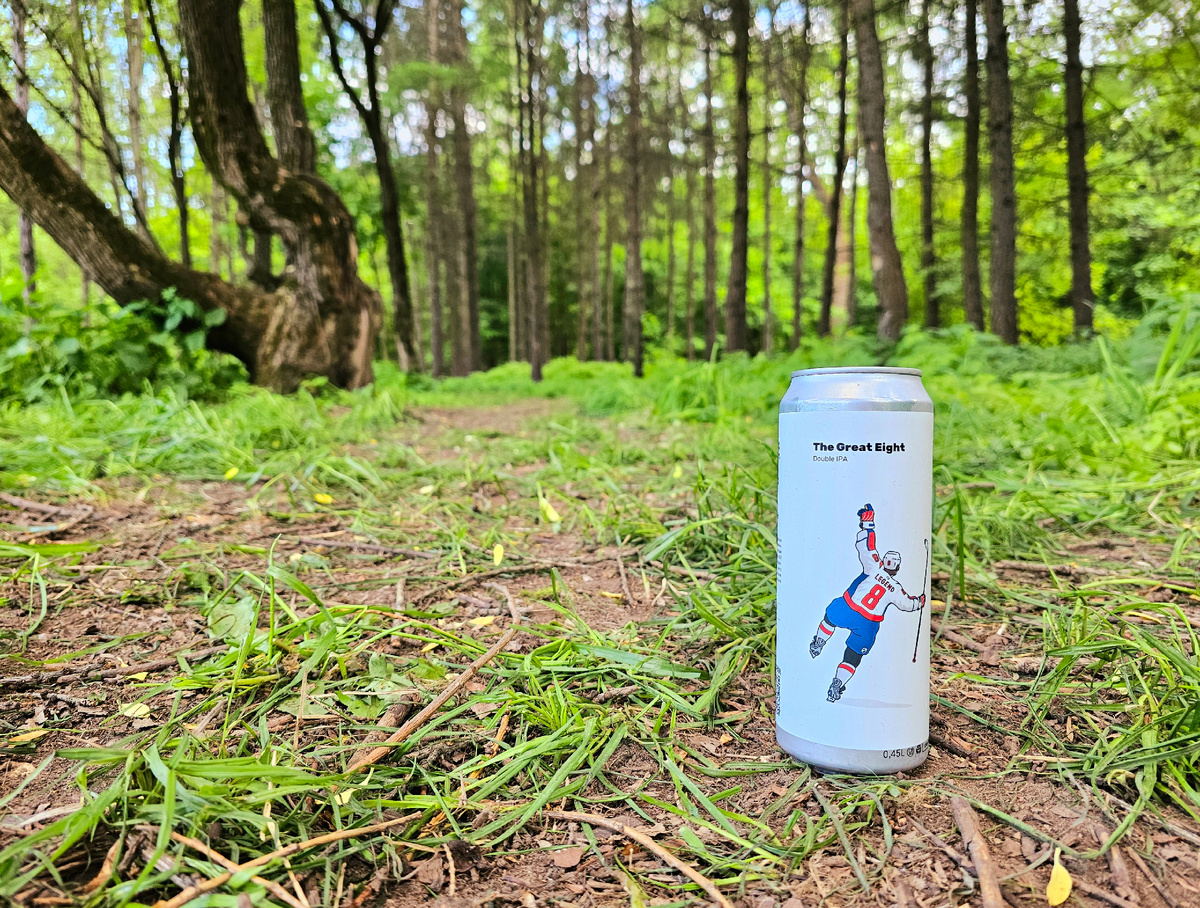 The Great Eight, фото автора