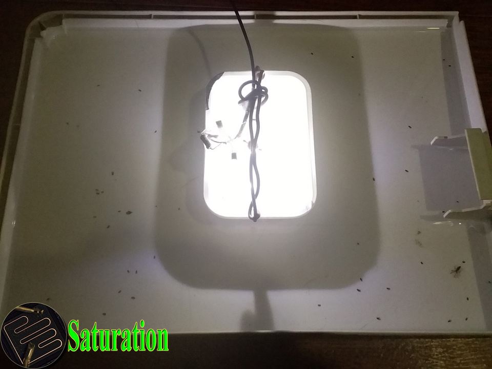 Ловушка против блох. Светодиодная подсветка, стабилизатор тока светодиода.