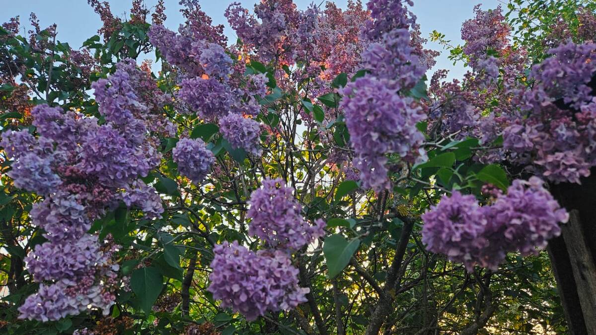 Листайте галерею