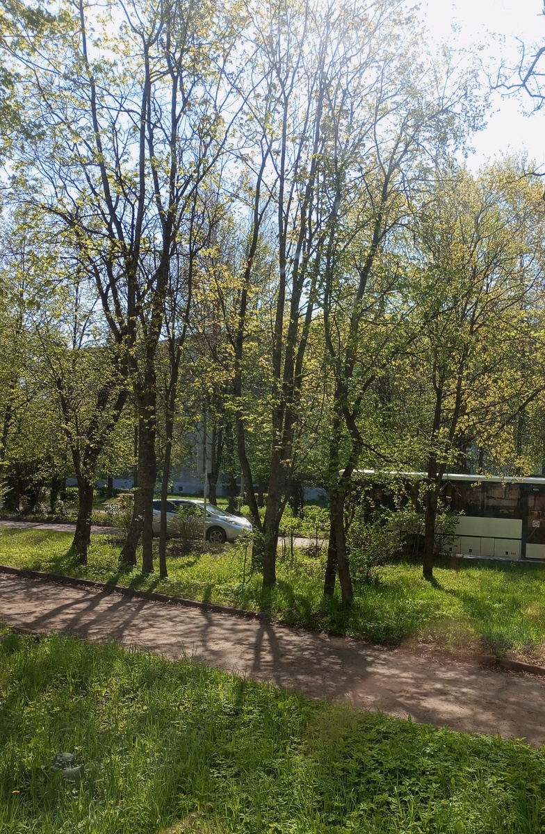 Фото автора. 