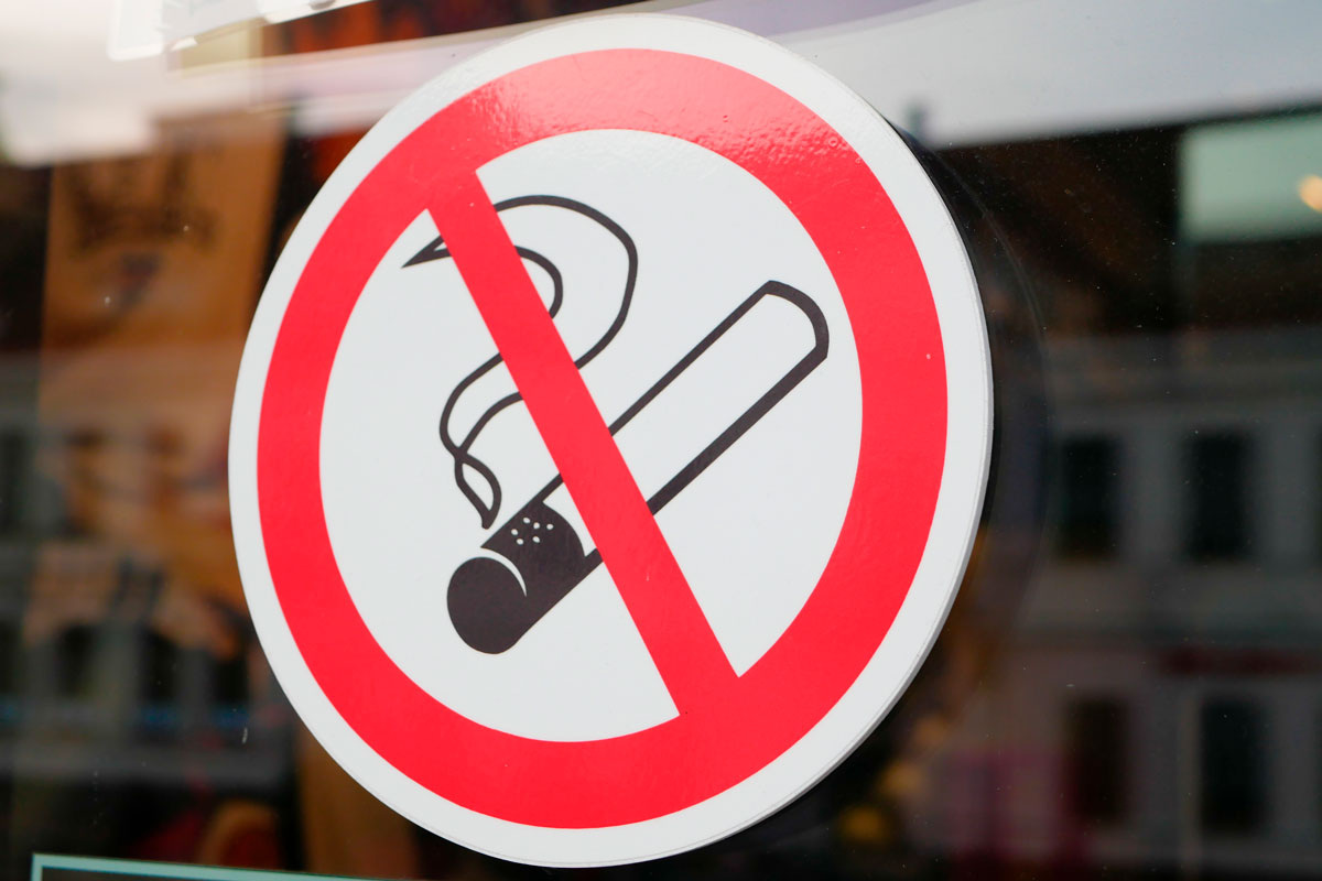    Фото: KAY4YK / Shutterstock.com