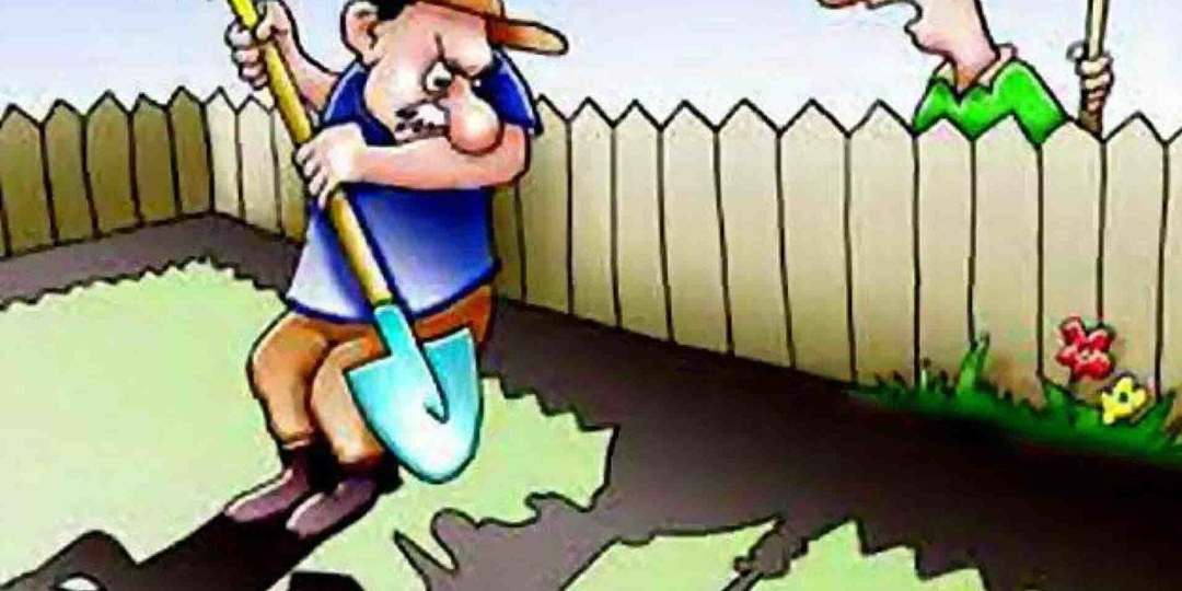 Кто в СНТ главный? По каким законам жить будем?