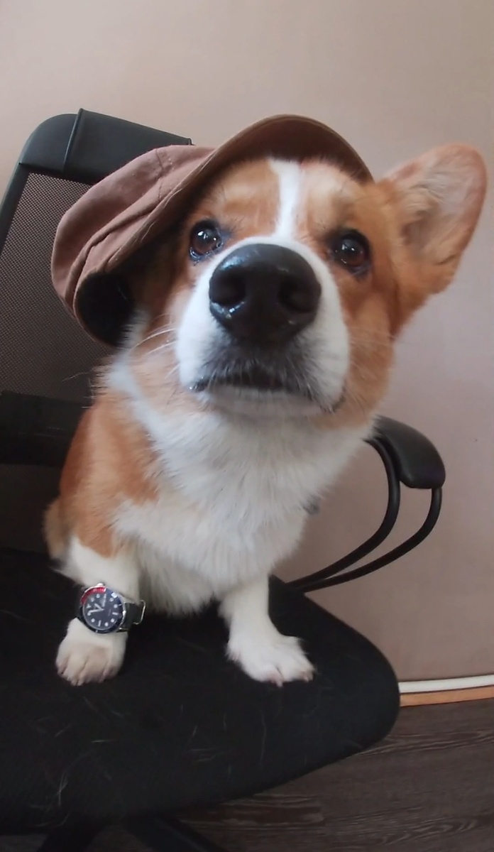 Повседневный лук Винни)