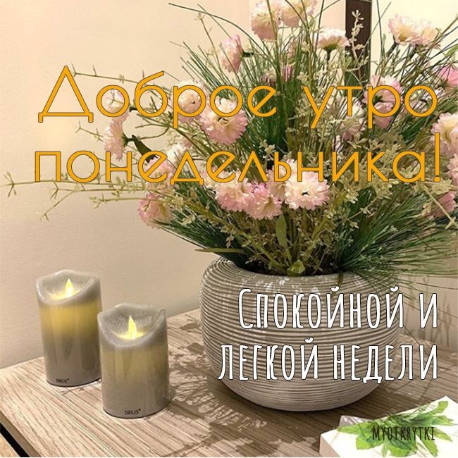 Фото из открытого источника в интернете.