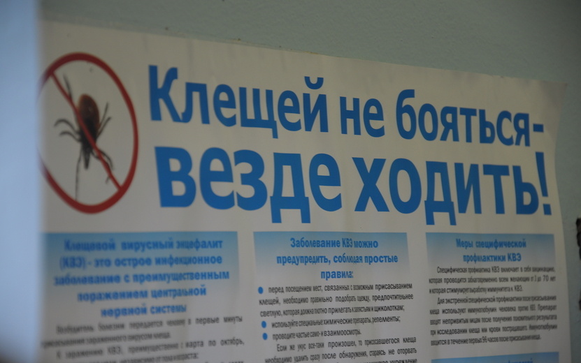    Жителям Удмуртии рассказали, как защититься от укусов клещей