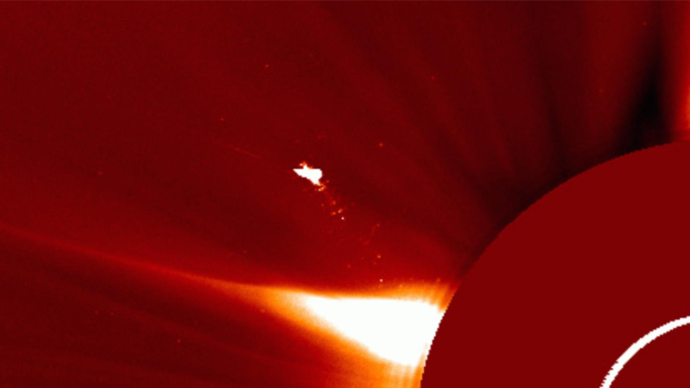    Птица над Солнцем. Telegram/Космическая погода — XRAS.RU /lpixras