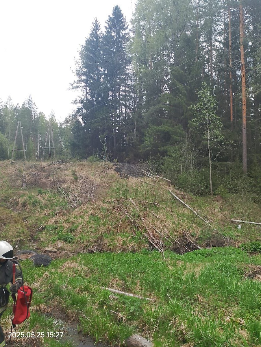    Фото: Госкомитет Карелии по безопасности / Telegram