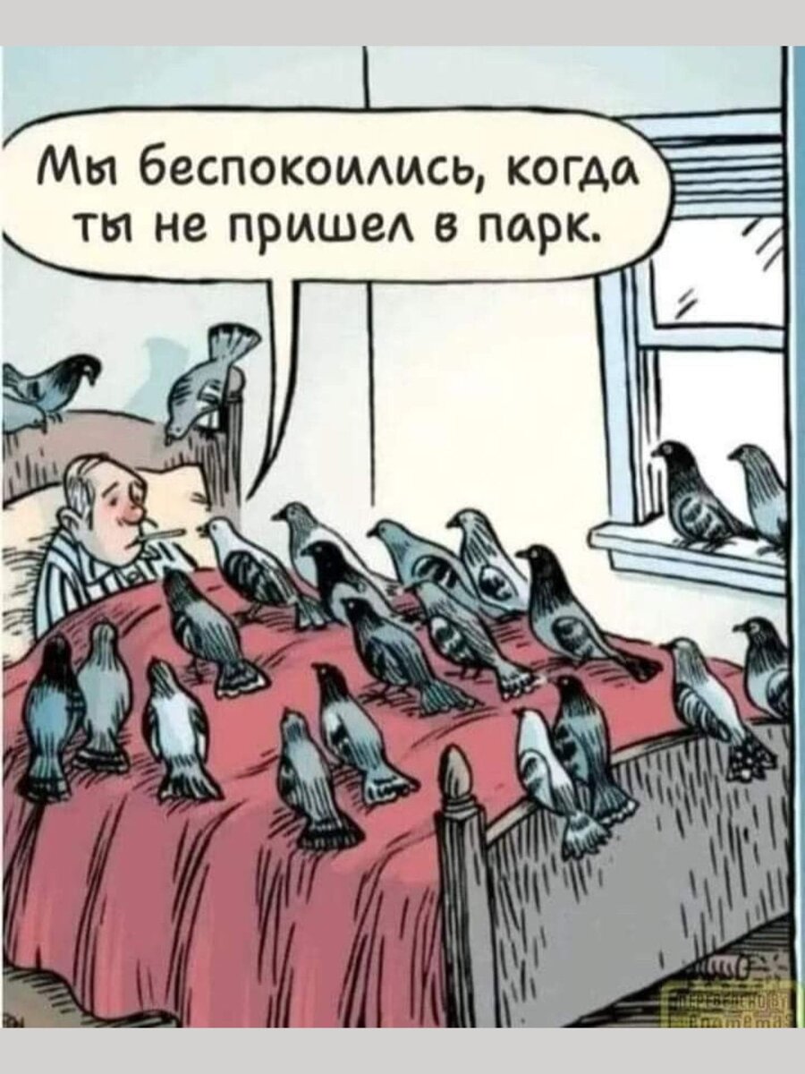 -11