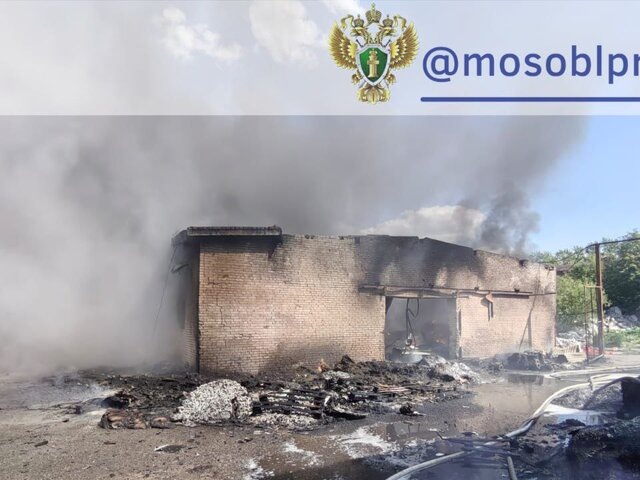    Фото: телеграм-канал "Прокуратура Московской области"