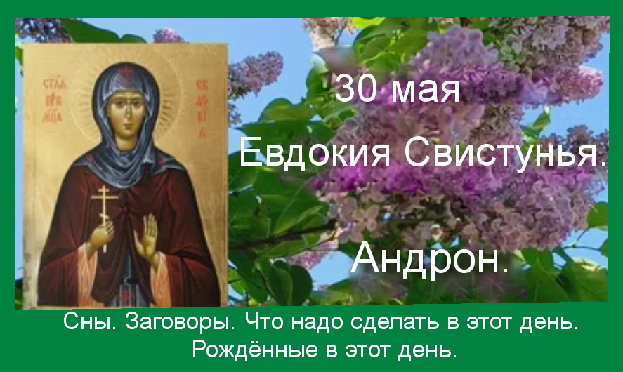 Источник : Яндекс картинки.