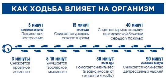 Источник изображения: МУНИЦИПАЛЬНОЕ БЮДЖЕТНОЕ УЧРЕЖДЕНИЕ «Информационно-методический центр «Развитие» г. Находка
