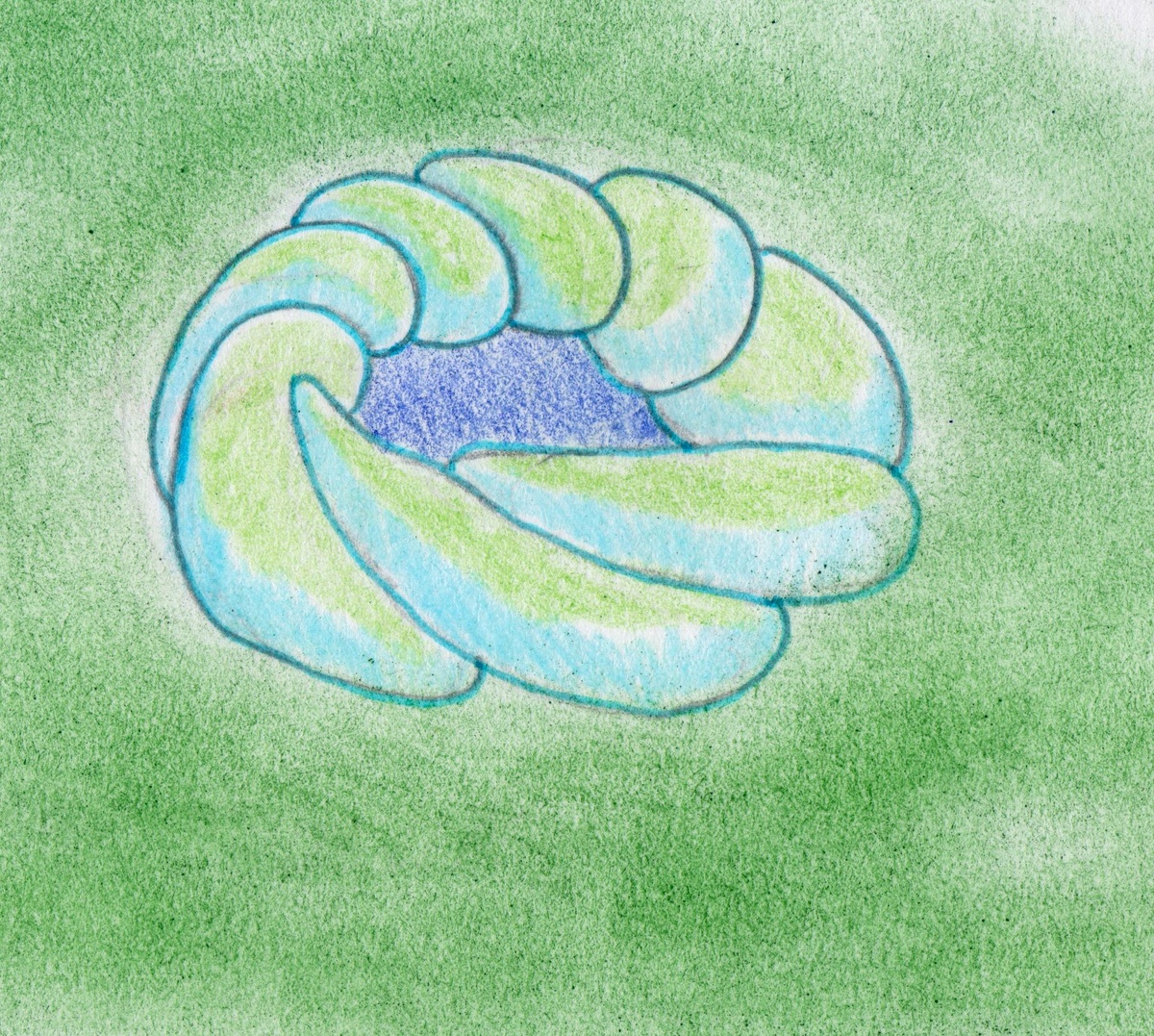 Реконструкция обама коронатуса.