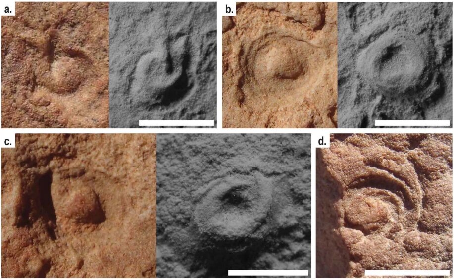 Негативные отпечатки обама.