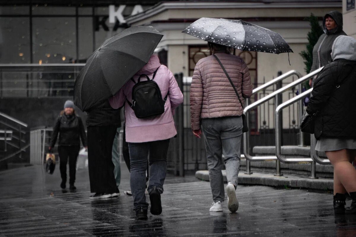    Фото: "Республика" / Оксана Кудряшова