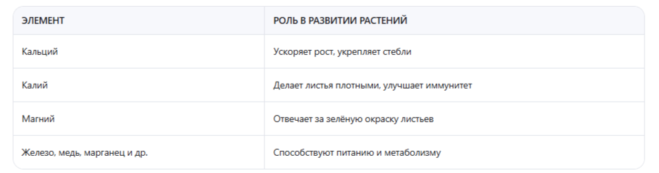 Что в нем содержится
