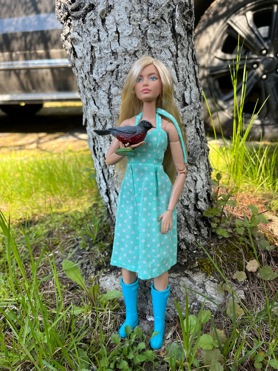 Линда и синица Давида 