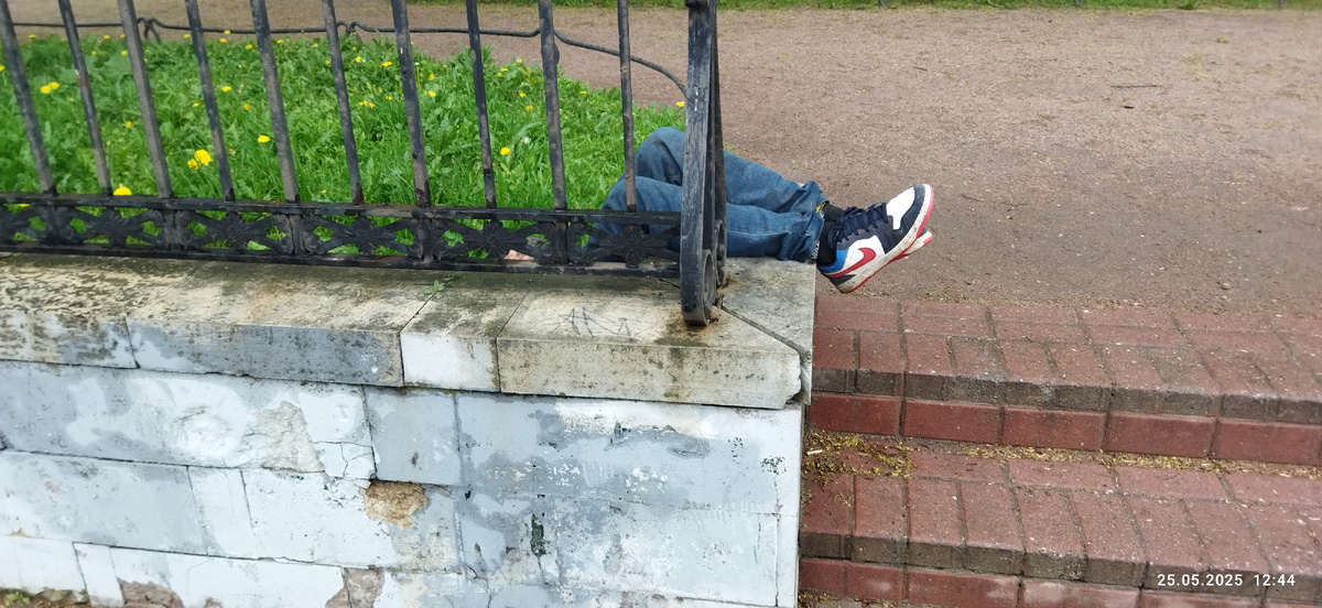 В парке перед Введенской больницей. Питер