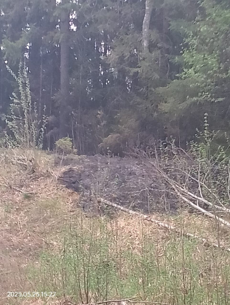    Молния ударила в высоковольтную линию под ПетрозаводскомГосударственный комитет Карелии по ОЖ и БН