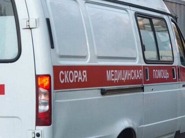    Фото: 123RF/svetlanaevgrafova