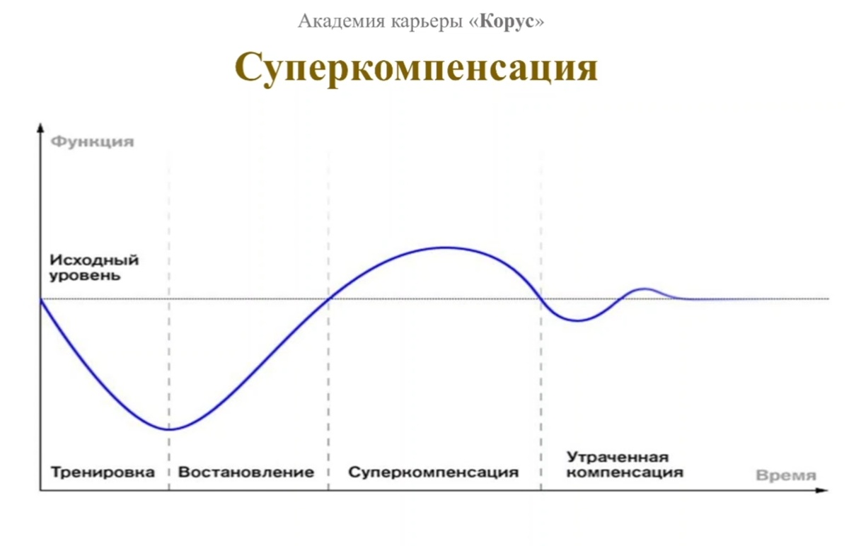 Скрин со слайда презентации академии карьеры Корус