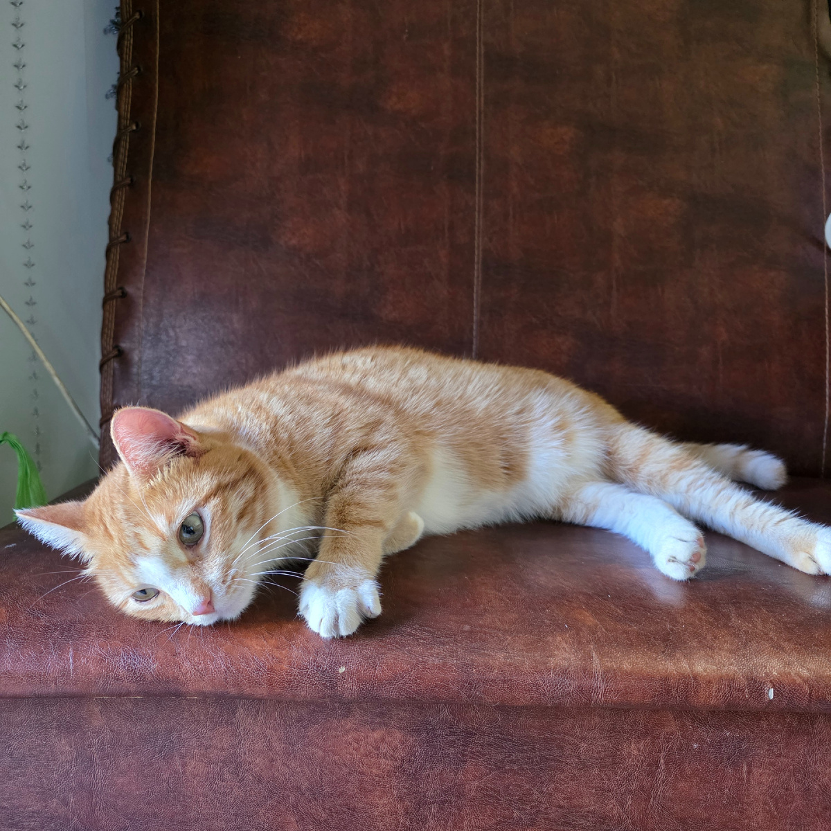 Мне кажется, что я тоже уже спала с открытыми глазами, как и Гриша