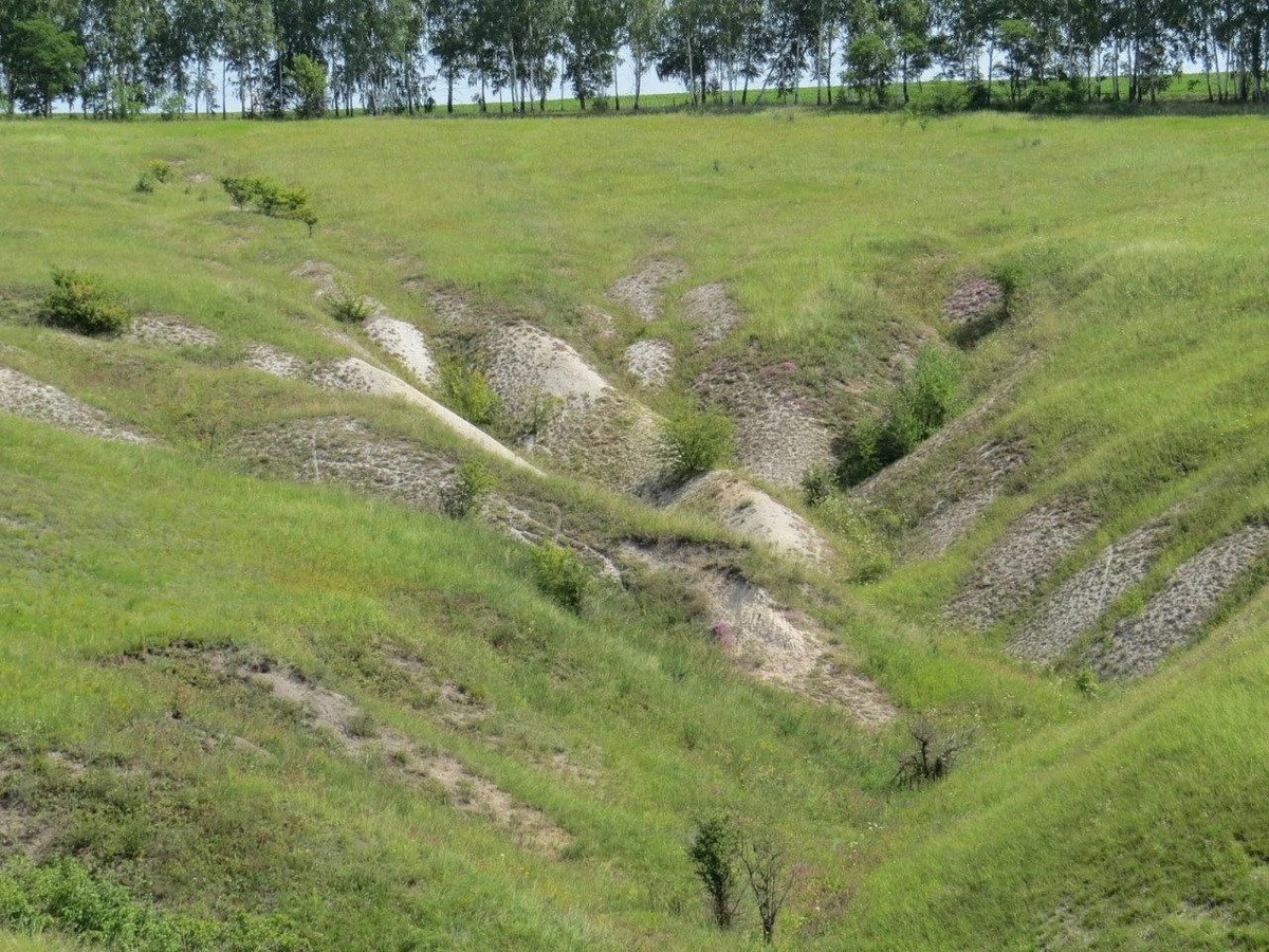     Курский Центрально-Черноземный заповедник станет больше