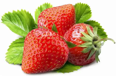 фото из яндекс картинки