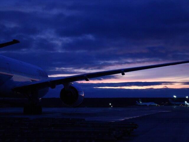    Фото: Москва 24/Никита Симонов