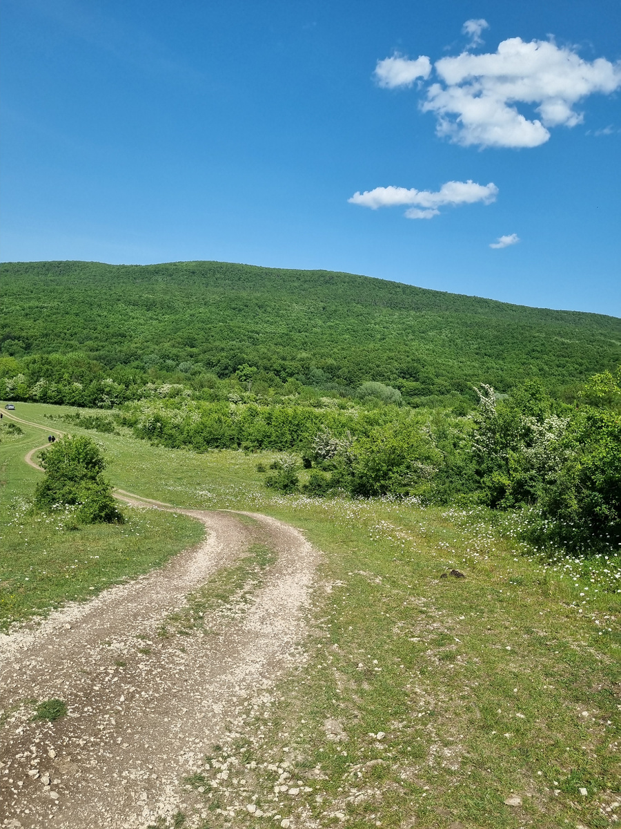 Вид на поляну. 
