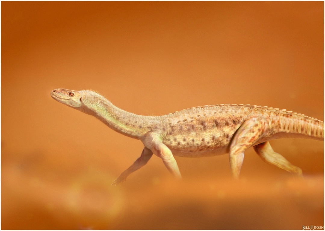 Мамбачитон.