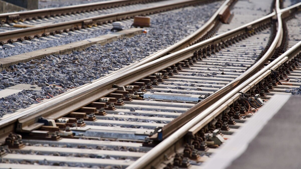    Фото: Michael Derrer Fuchs/Shutterstock/Fotodom