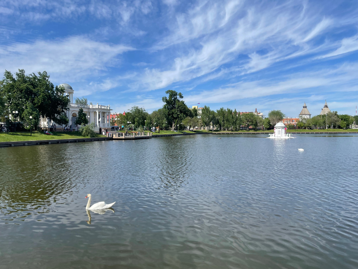 Лебединое озеро. Фото автора