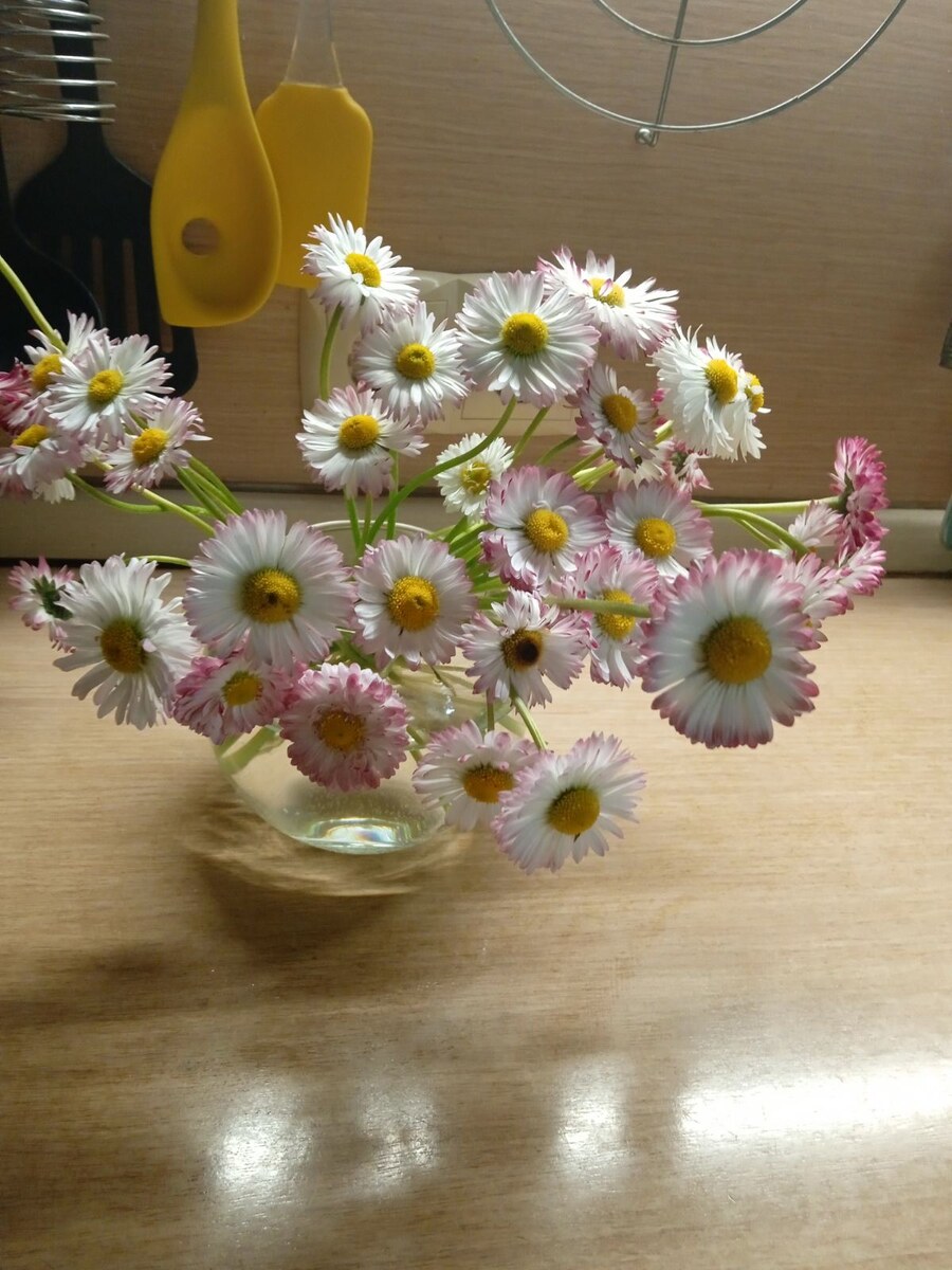 Фотопривет от мамы