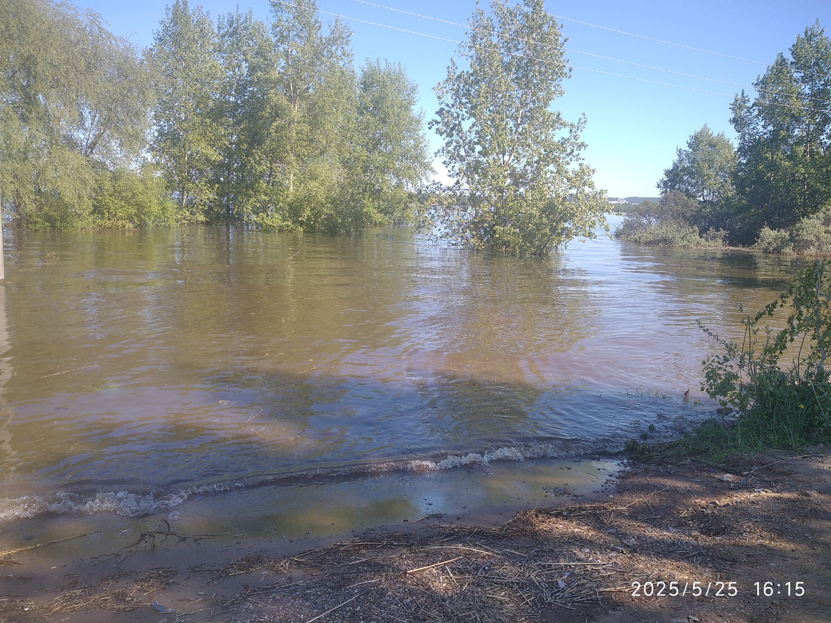 Берег Камы (фотография моя)